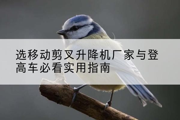 邕宁电动升降机厂家-选移动剪叉升降机厂家与登高车必看实用指南