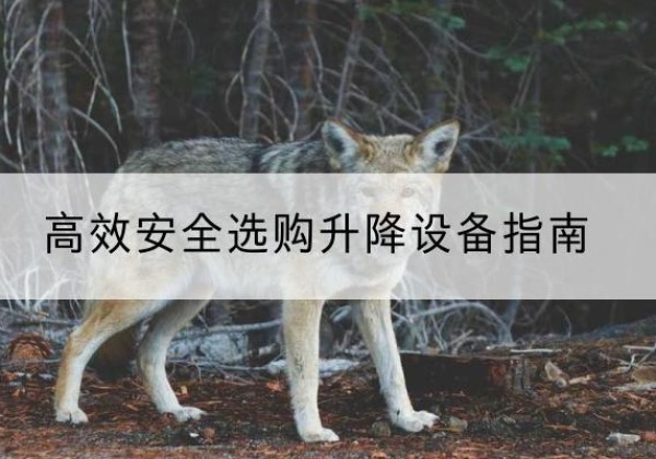 邕宁升降货梯厂家推荐-*安全选购升降设备指南